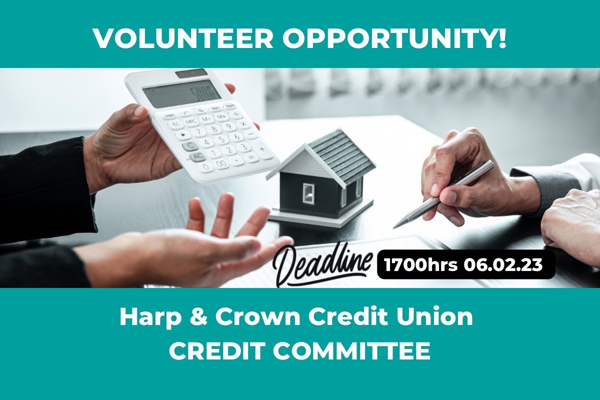 Credit Committee Volunteer
